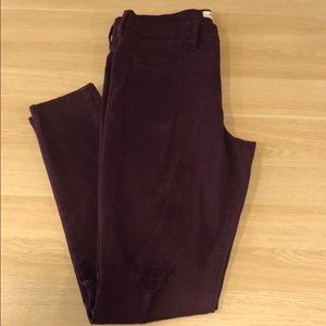 Wine GAP Easy Leggings